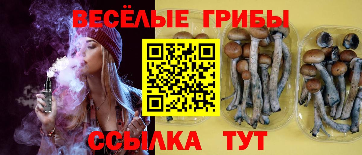 Псилоцибиновые грибы Psilocybine cubensis Сызрань